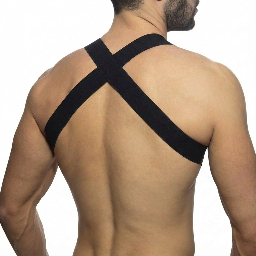 [M2W] WINNING Harness Black (1400-21)