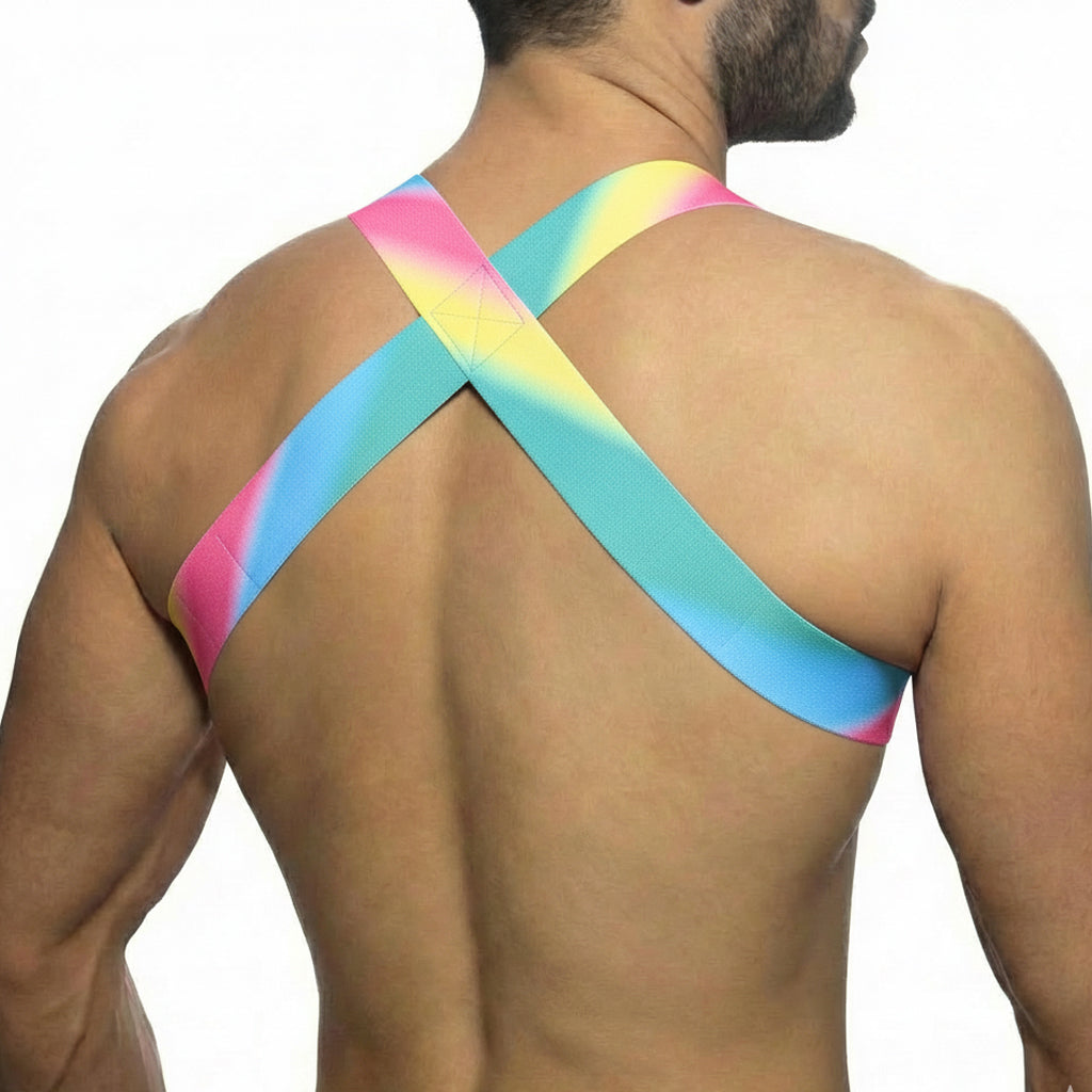 [M2W] Pastel Harness (1400-50)