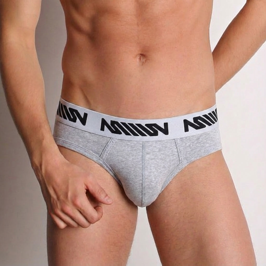 [M2W] Basic Hip Brief Gray (1703-10)