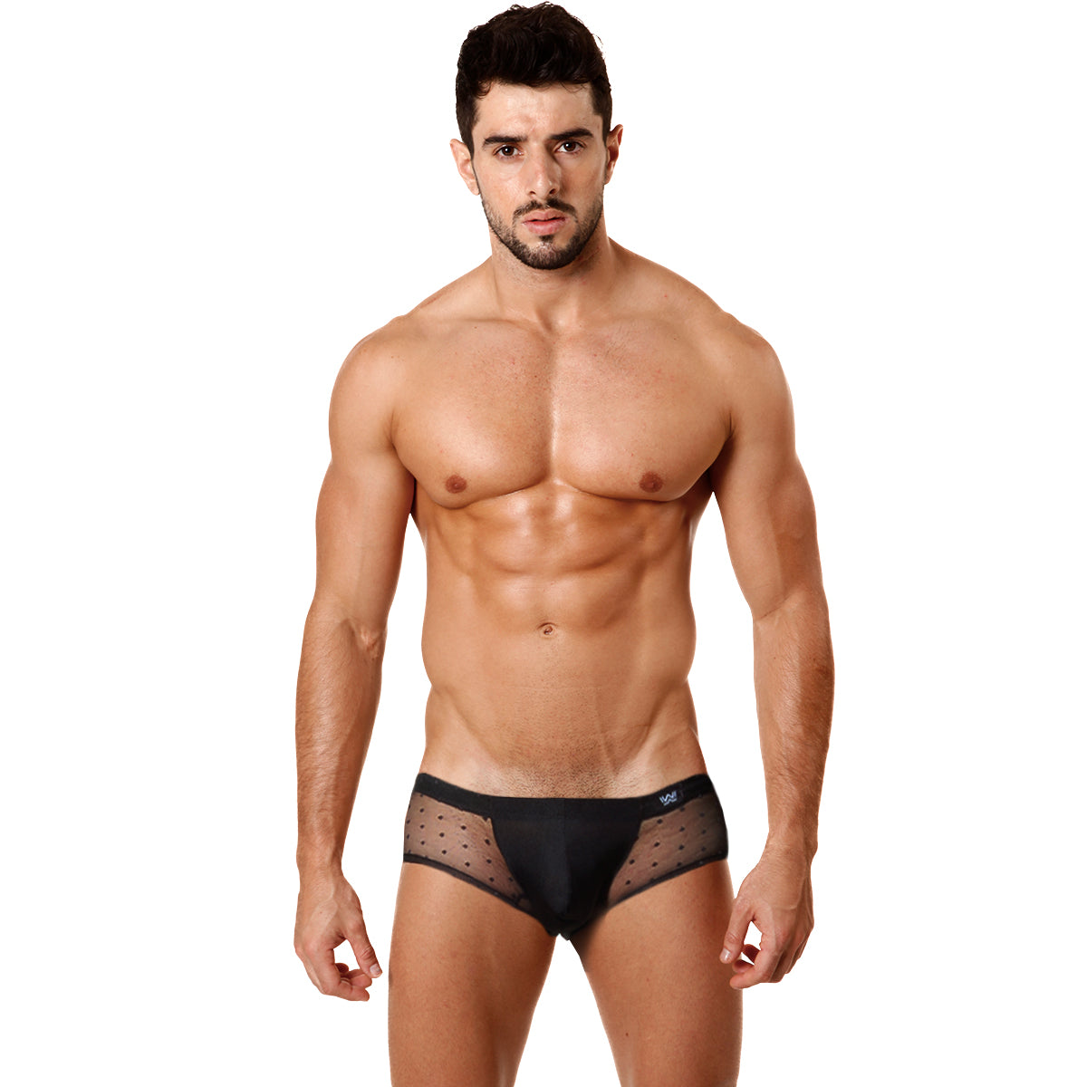 [M2W] Oporto Trunk (2125-71)