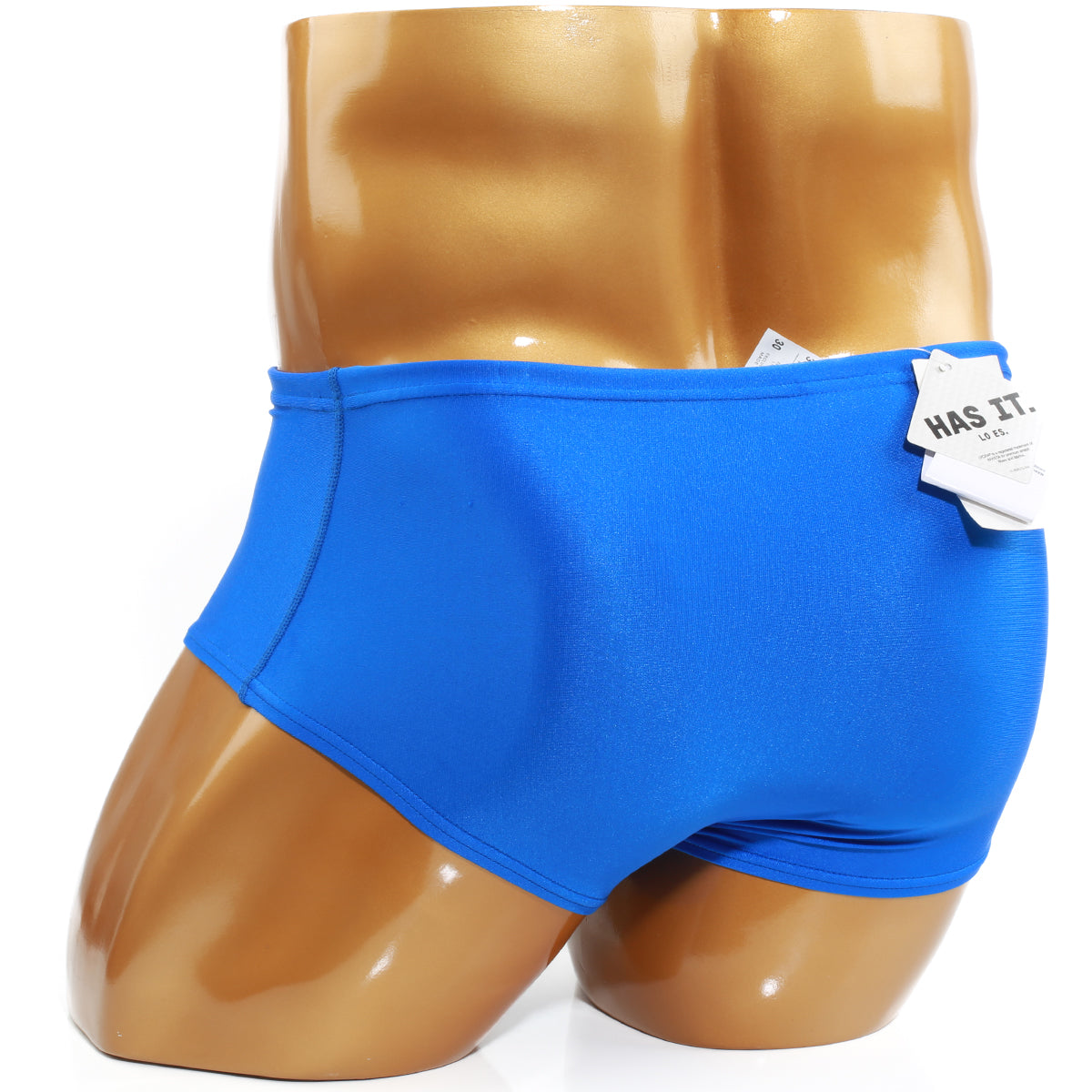 [Speedo USA] Stripe Square Leg Royal (74956)