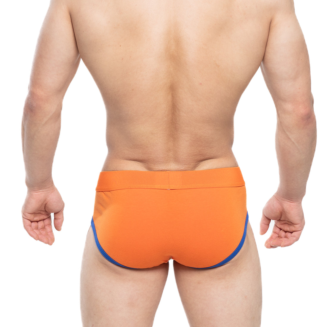 [M2W] Ciclerut Brief (9004-24)