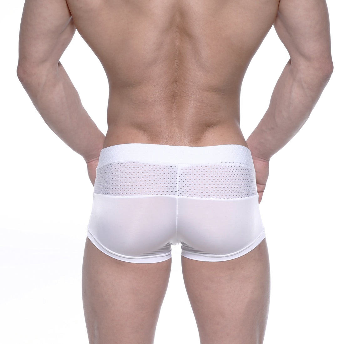 [M2W] Noto Trunk White (2026-33)