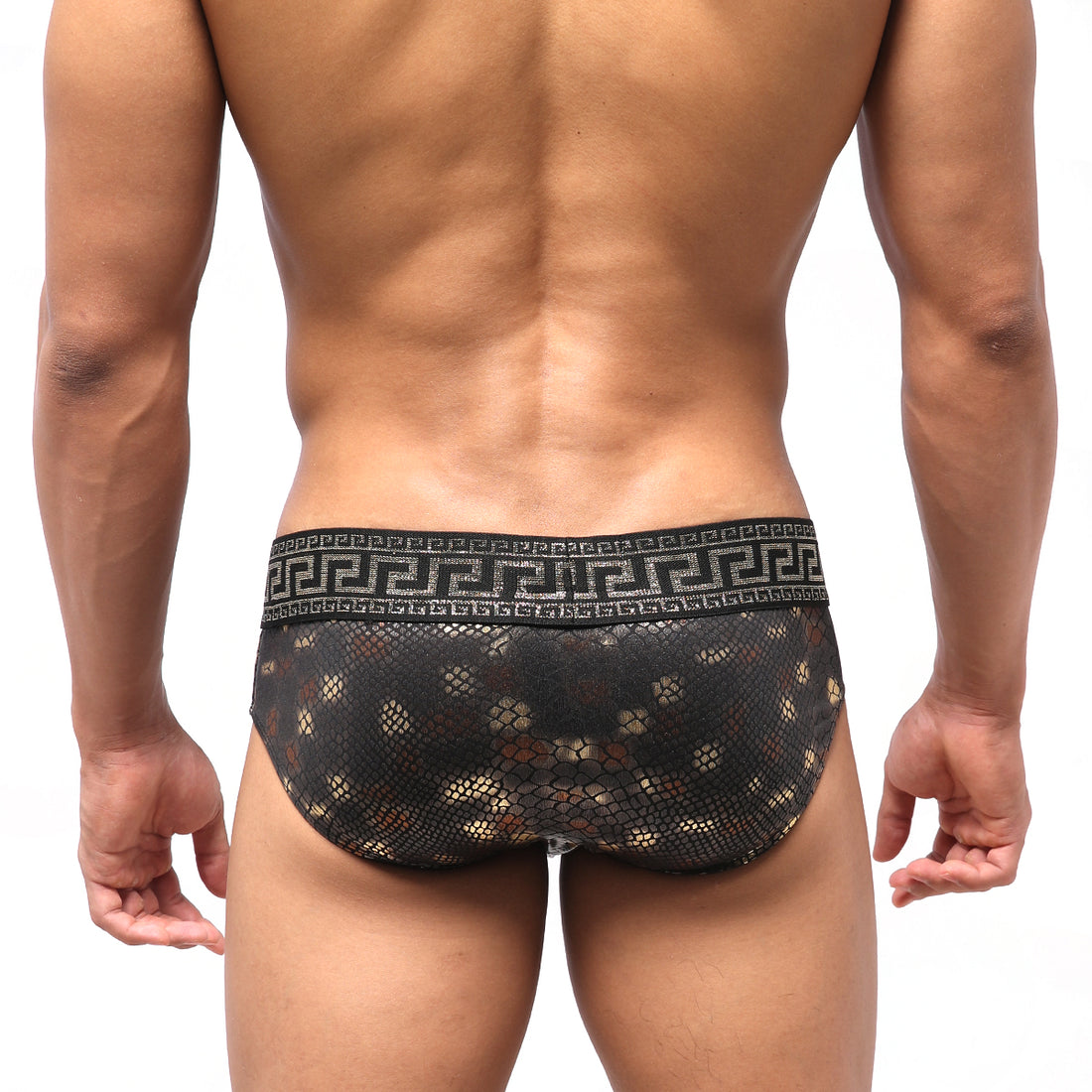 [M2W] Special Edition Dragon Swim Brief (4916-SP1)