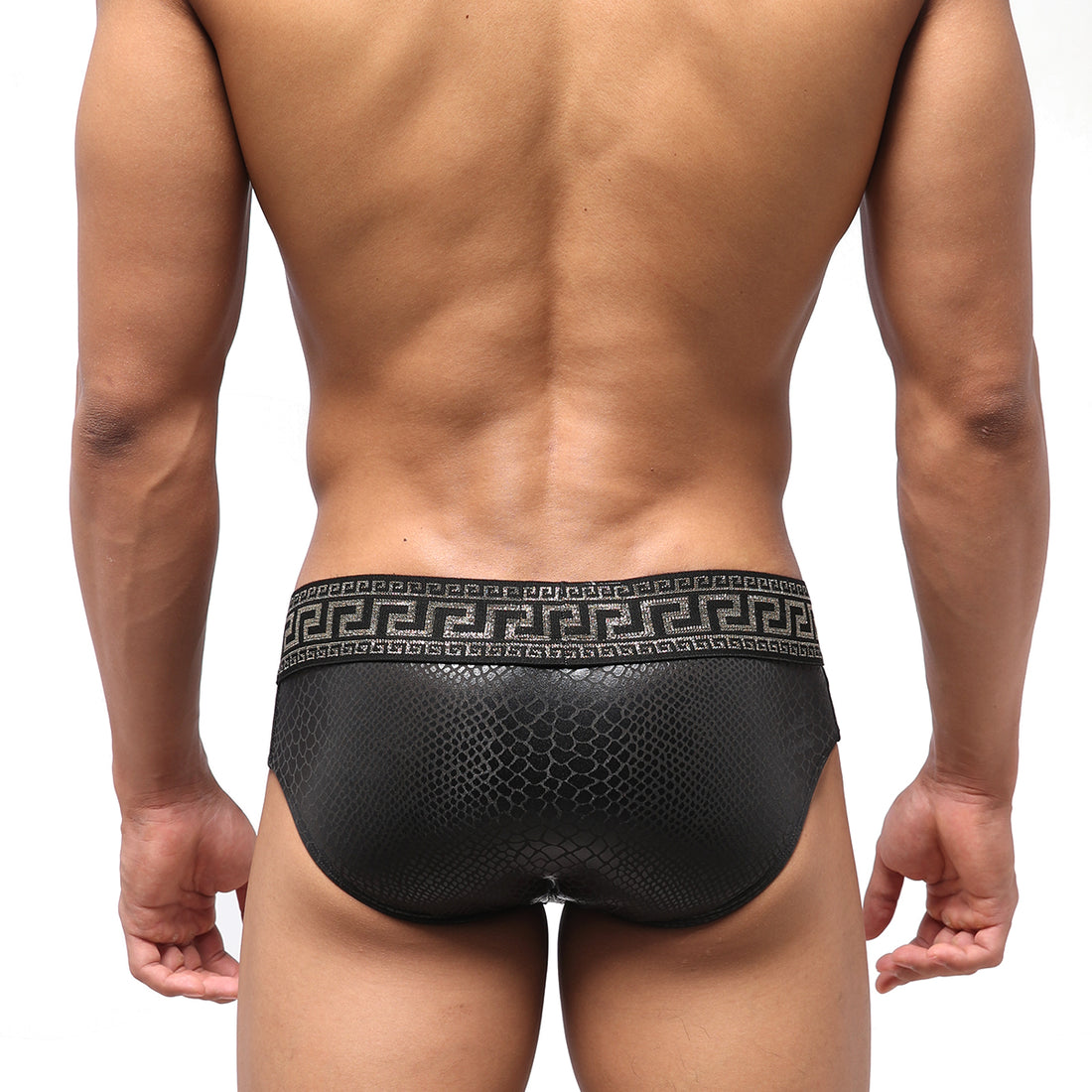 [M2W] Special Edition Anaconda Swim Brief (4916-SP2)