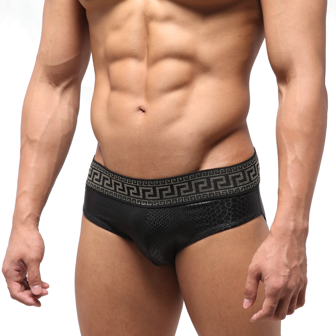 [M2W] Special Edition Anaconda Swim Brief (4916-SP2)