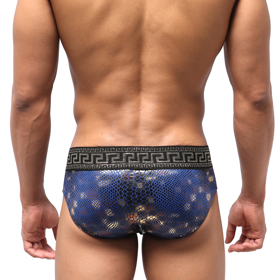 [M2W] Special Edition Aladdin Swim Brief (4916-SP4)