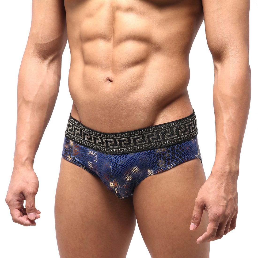 [M2W] Special Edition Aladdin Swim Brief (4916-SP4)