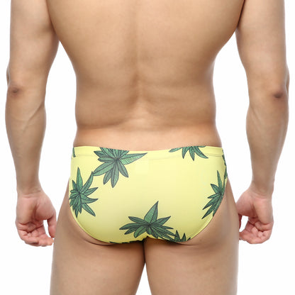 [M2W] Palmera Bikini (5103-37)