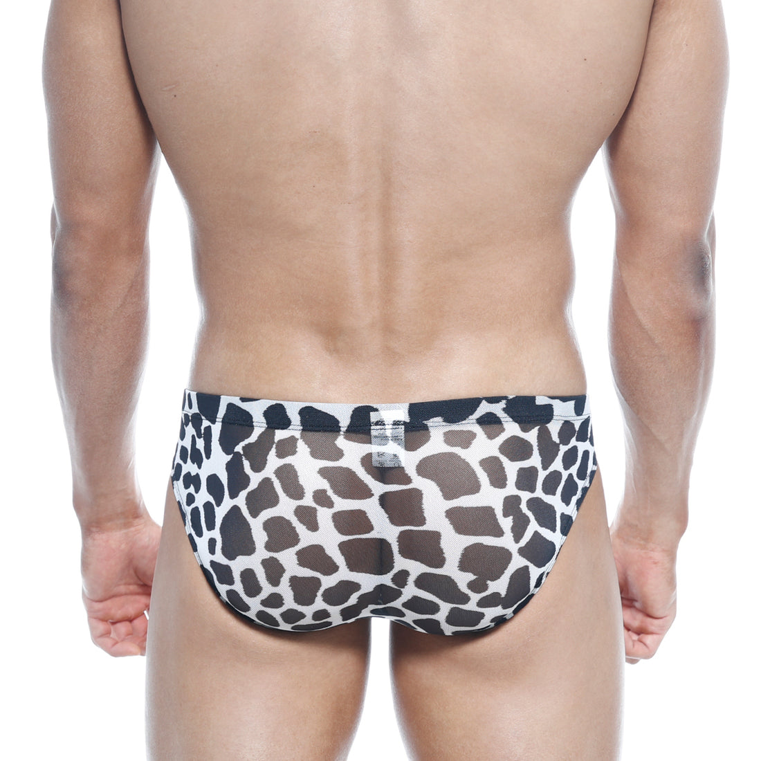 [M2W] Vasco Hip Brief Dalmatian (5103-77)